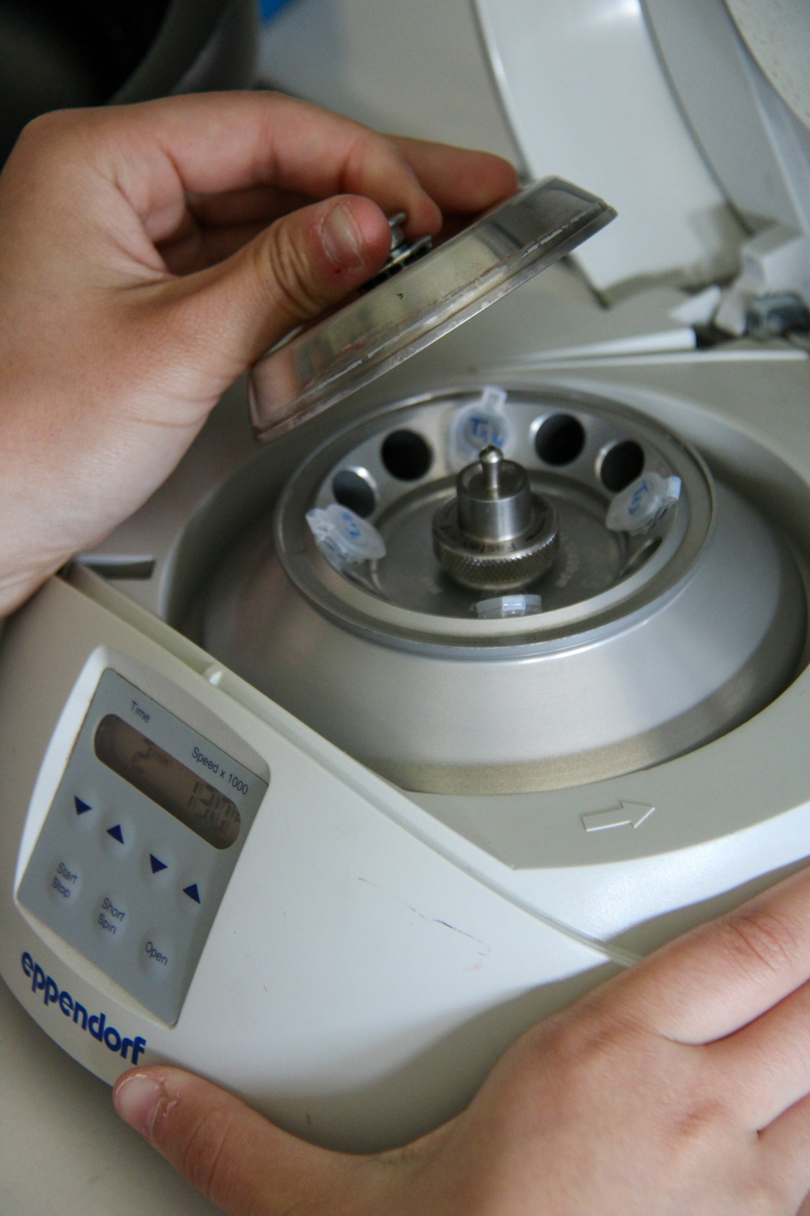 A researcher loading a laboratory centrifuge