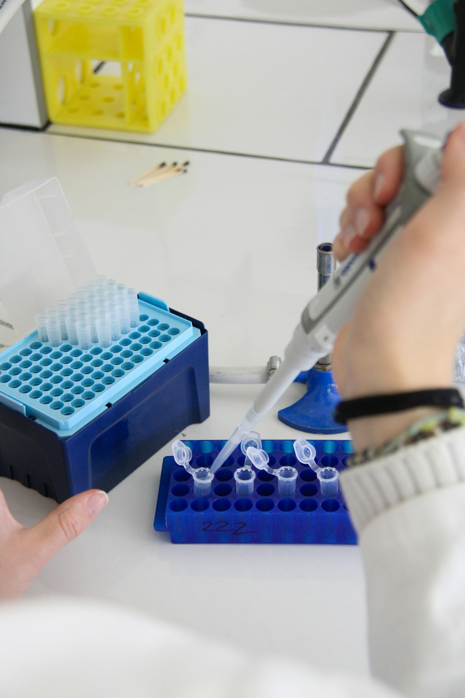 A researcher pipetting samples into a tray