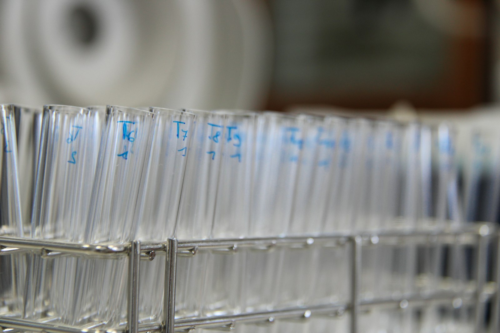 Rows of labeled test tubes in a rack